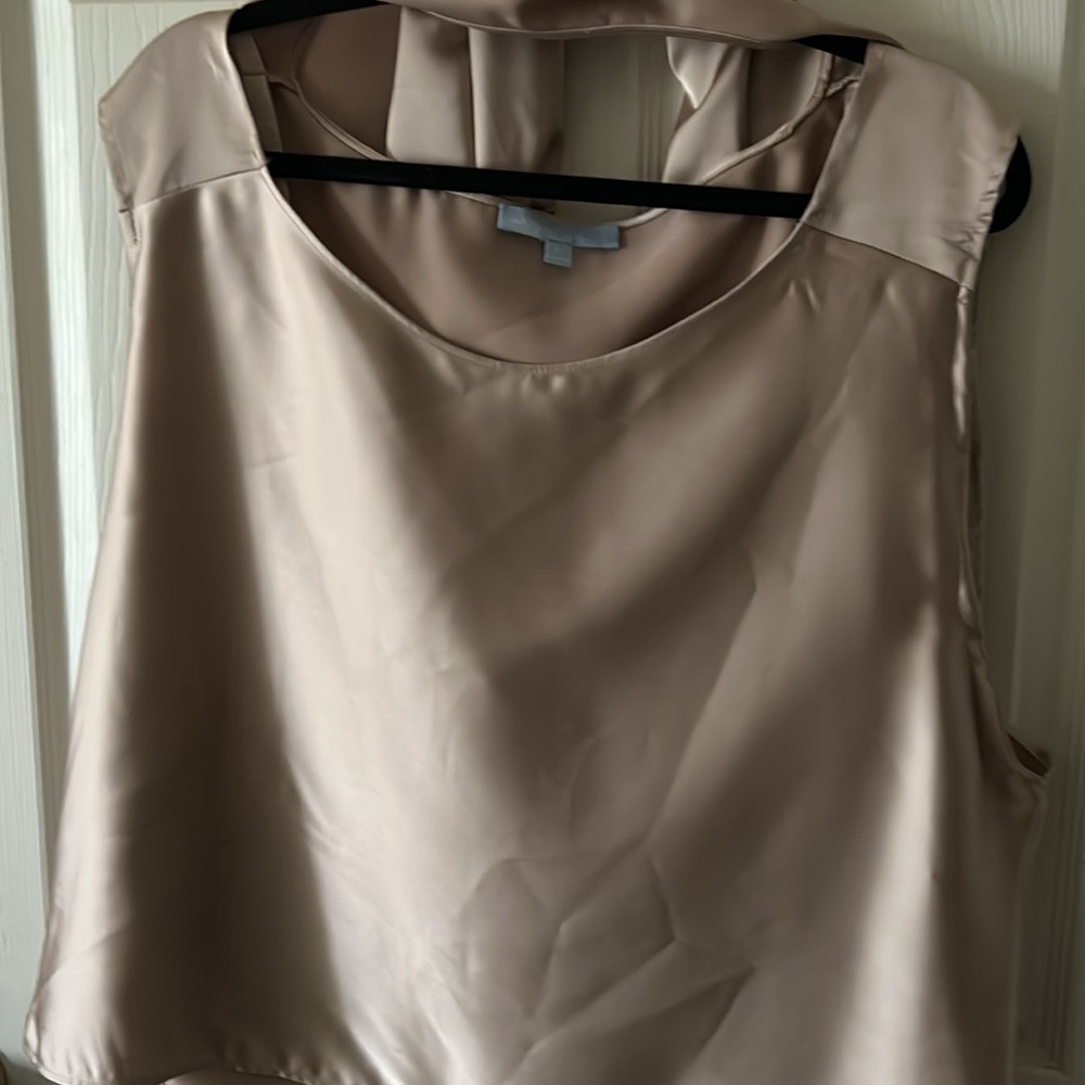 Antonio Melani Blyss Drapey Satin‎ Boat Neck Long Sleeve Champagne Blouse Size L - Picture 10 of 10
